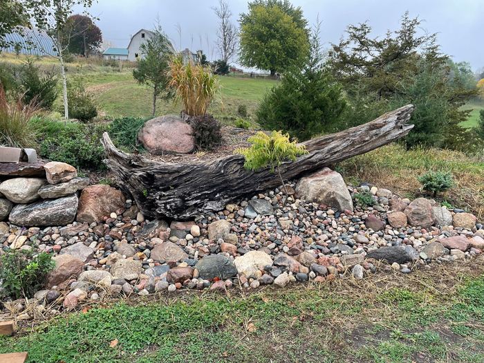 Dry creek bed with boulders, driftwood and plantings